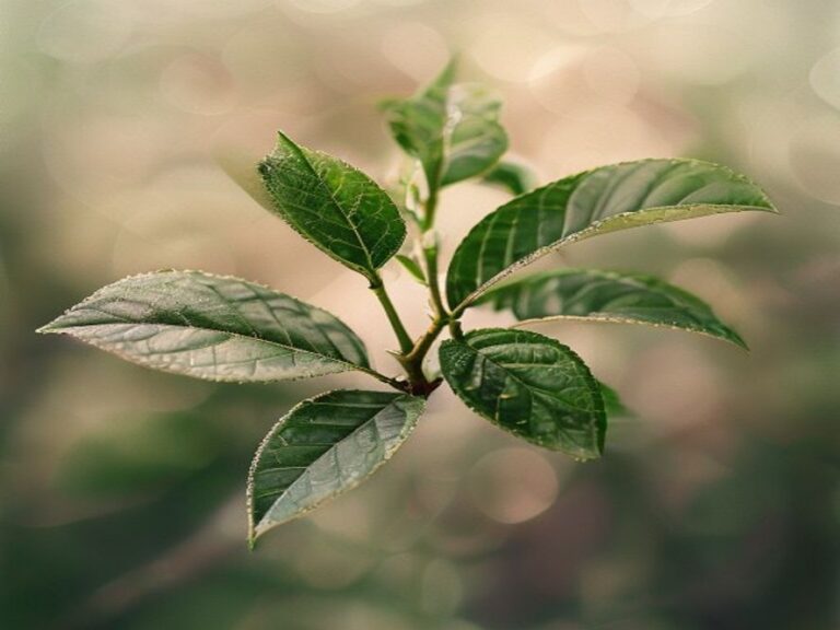 테아닌, 진짜 효과 있는 성분일까 — 5편 시리즈로 정리한 공부 노트