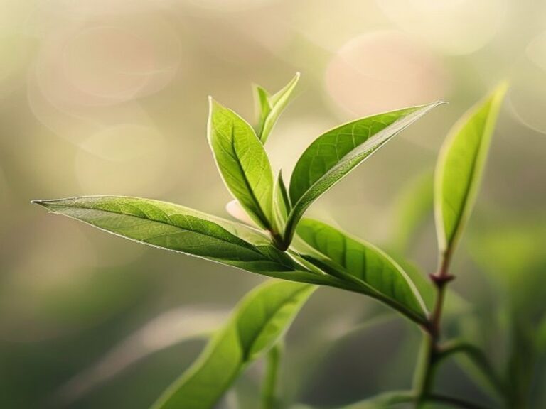 잠이 안 올 때 테아닌이 답일까 — 멜라토닌과 무엇이 다른지 정리해 봤다